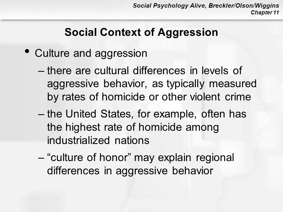 Causes Of Aggression: A Psychological Perspective